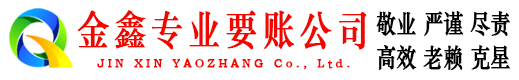 新河金鑫收账公司